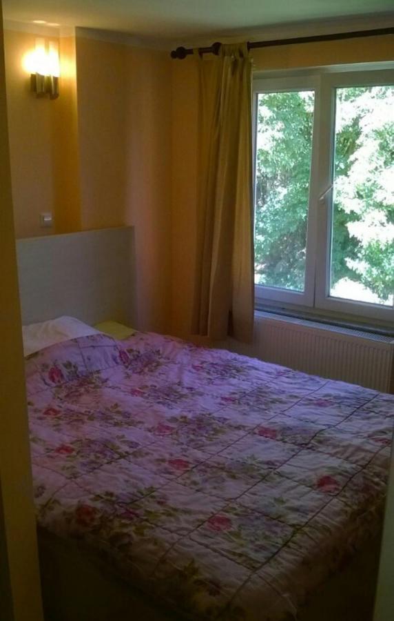 Saray Downtown Apartment Private Parking Free Wifi ซาราเยโว ภายนอก รูปภาพ